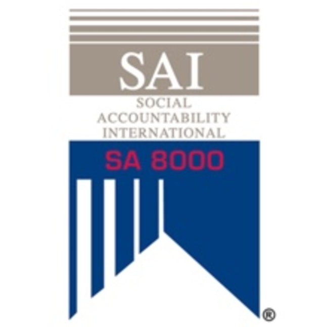 Logo SAI 8000